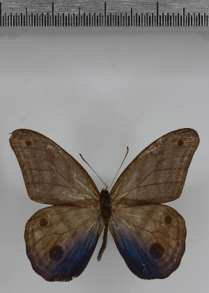  ( - SAT-MB-011)  @11 [ ] copyright (2025) M. Benmesbah Research Collection of Mohamed Benmesbah