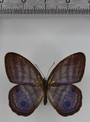  ( - SAT-MB-012)  @11 [ ] copyright (2025) M. Benmesbah Research Collection of Mohamed Benmesbah