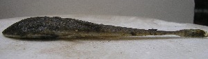  ( - UNMDP-T 0308)  @12 [ ] Unspecified (default): All Rights Reserved  Unspecified Unspecified