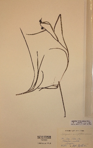  ( - H362631)  @11 [ ] Unspecified (default): All Rights Reserved  Unspecified Unspecified