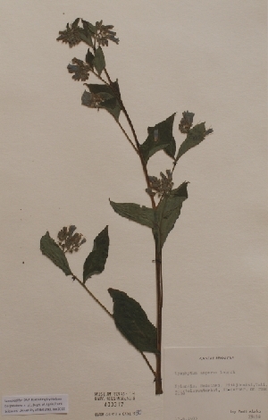  ( - H403317)  @11 [ ] Unspecified (default): All Rights Reserved  Unspecified Unspecified