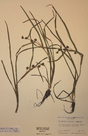  ( - H440094)  @11 [ ] Unspecified (default): All Rights Reserved  Unspecified Unspecified
