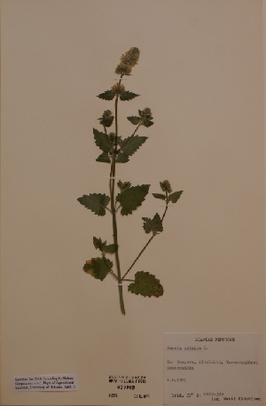  ( - H630069)  @11 [ ] Unspecified (default): All Rights Reserved  Unspecified Unspecified