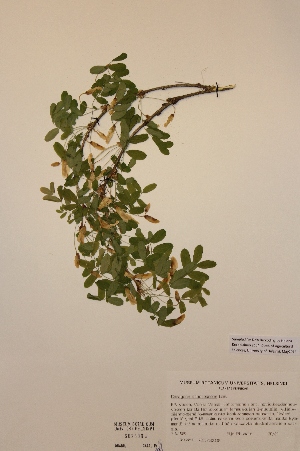  ( - H662609)  @11 [ ] Unspecified (default): All Rights Reserved  Unspecified Unspecified