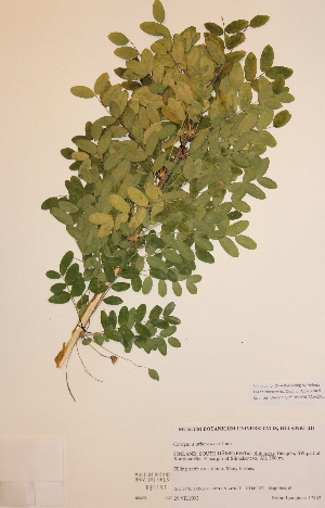  ( - H685191)  @11 [ ] Unspecified (default): All Rights Reserved  Unspecified Unspecified