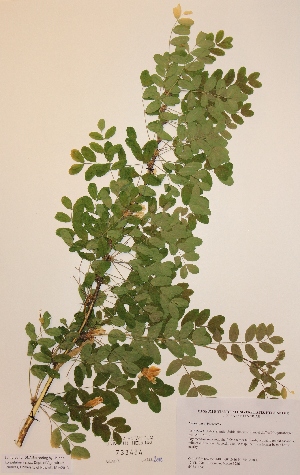  ( - H733464)  @11 [ ] Unspecified (default): All Rights Reserved  Unspecified Unspecified