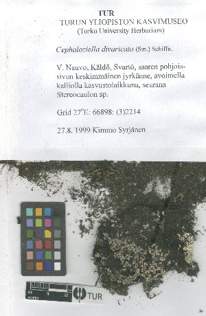  ( - TUR103916)  @11 [ ] CreativeCommons, Attribution Share-Alike 4.0 (2021) Unspecified University of Turku, Herbarium