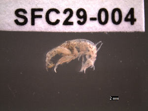  ( - SFC29-004)  @11 [ ] Unspecified (default): All Rights Reserved  Unspecified Unspecified
