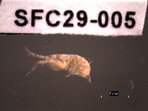  ( - SFC29-005)  @11 [ ] Unspecified (default): All Rights Reserved  Unspecified Unspecified