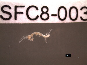  ( - SFC8-003)  @13 [ ] Unspecified (default): All Rights Reserved  Unspecified Unspecified