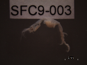  ( - SFC9-003)  @11 [ ] Unspecified (default): All Rights Reserved  Unspecified Unspecified
