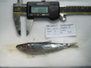  ( - 3477C11)  @11 [ ] Unspecified (default): All Rights Reserved  Unspecified Unspecified