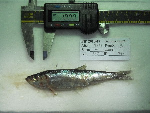  ( - 3477D01)  @11 [ ] Unspecified (default): All Rights Reserved  Unspecified Unspecified