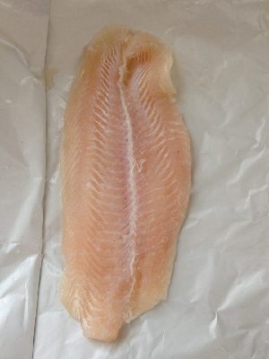  ( - FL1511)  @11 [ ] CreativeCommons - Attribution Share-Alike (2013) Museum National d'Histoire Naturelle, Paris Museum National d'Histoire Naturelle, Paris