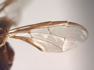  ( - BPC4342)  @12 [ ] CreativeCommons - Attribution  BPRC 2010 Unspecified