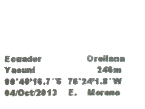 ( - QCAZI_235359)  @11 [ ] Unspecified (default): All Rights Reserved  Unspecified Unspecified