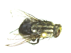  ( - QCAZI_235507)  @12 [ ] Unspecified (default): All Rights Reserved  Unspecified Unspecified