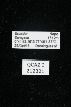  ( - QCAZI_212321)  @11 [ ] Unspecified (default): All Rights Reserved (2016) Mariela Domínguez PUCE