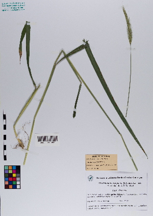  ( - 047_004)  @11 [ ] CreativeCommons - Attribution Non-Commercial Share-Alike (2019) Kostrzyca Forest Gene Bank Kostrzyca Forest Gene Bank