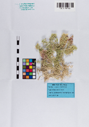  ( - 010_001)  @11 [ ] CreativeCommons - Attribution Non-Commercial Share-Alike (2019) Kostrzyca Forest Gene Bank Kostrzyca Forest Gene Bank