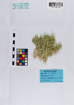  ( - 012_001)  @11 [ ] CreativeCommons - Attribution Non-Commercial Share-Alike (2019) Kostrzyca Forest Gene Bank Kostrzyca Forest Gene Bank