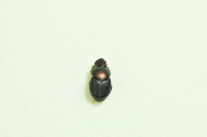  ( - UMKL-TG010)  @11 [ ] Unspecified (default): All Rights Reserved  Unspecified Unspecified
