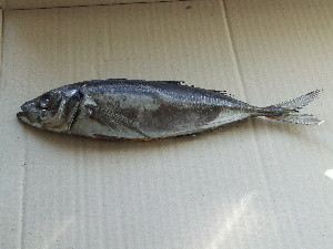  ( - TRA002)  @11 [ ] Unspecified (default): All Rights Reserved  Unspecified Unspecified