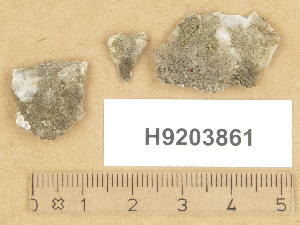 (Verrucaria nigroumbrina - H9203861)  @11 [ ] Copyright (2012) Diana Weckman Botanical Museum, Finnish Museum of Natural History, University of Helsinki