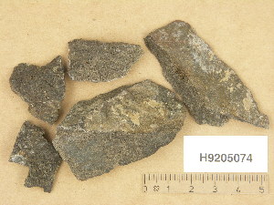  (Verrucaria oulankaensis - H9205074)  @11 [ ] Copyright (2013) Diana Weckman Botanical Museum, Finnish Museum of Natural History, University of Helsinki
