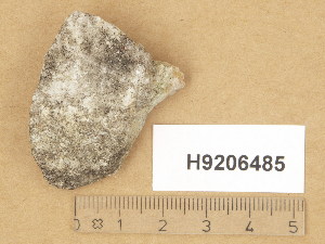  (Verrucaria danica - H9206485)  @11 [ ] Copyright (2014) Diana Weckman Botanical Museum, Finnish Museum of Natural History, University of Helsinki