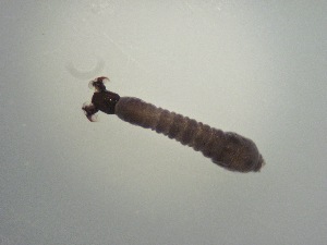  ( - Jari20110265)  @12 [ ] Unspecified (default): All Rights Reserved  Unspecified Unspecified
