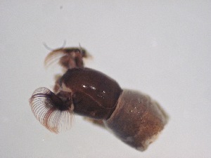  ( - Jari20110265)  @12 [ ] Unspecified (default): All Rights Reserved  Unspecified Unspecified
