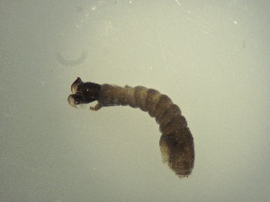  ( - Jari20110266)  @12 [ ] Unspecified (default): All Rights Reserved  Unspecified Unspecified