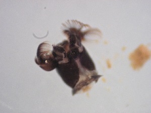  ( - Jari20110266)  @12 [ ] Unspecified (default): All Rights Reserved  Unspecified Unspecified