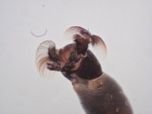  ( - Jari20110267)  @12 [ ] Unspecified (default): All Rights Reserved  Unspecified Unspecified
