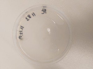  ( - FIN451)  @11 [ ] cc-by-nc (2020) Unspecified Norwegian institute for nature research