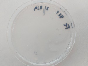  ( - FIN436)  @11 [ ] cc-by-nc (2020) Unspecified Norwegian institute for nature research