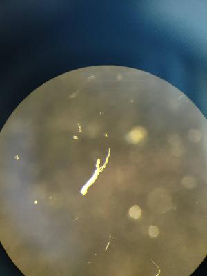  ( - FINEN-003)  @11 [ ] CreativeCommons - Attribution Share-Alike (2025) Unspecified Natural Resources Institute Finland