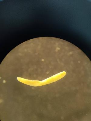  (Mesenchytraeus sanguineus - FINEN-032)  @11 [ ] CreativeCommons - Attribution Share-Alike (2025) Unspecified Natural Resources Institute Finland