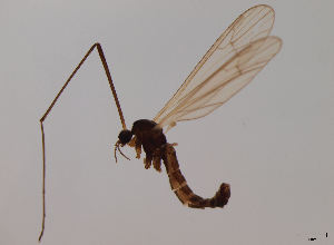  ( - JES-20120036)  @12 [ ] Unspecified (default): All Rights Reserved  Unspecified Unspecified
