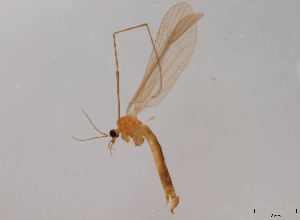  ( - JES-20120079)  @12 [ ] Unspecified (default): All Rights Reserved  Unspecified Unspecified