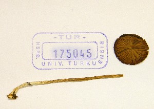  (Entoloma cf. sphagnorum - TUR175045)  @11 [ ] CreativeCommons - Attribution Non-Commercial Share-Alike (2013) Balint Dima Botanical Museum, Finnish Museum of Natural History, University of Helsinki