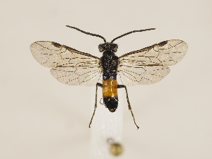  ( - ZMUO.033526)  @13 [ ] CreativeCommons - Attribution Non-Commercial (2018) Marko Mutanen University of Oulu