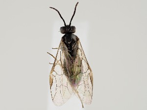  ( - ZMUO.058916)  @11 [ ] by-nc (2022) Marko Mutanen University of Oulu