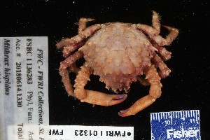  ( - 136283-1323)  @11 [ ] Unspecified (default): All Rights Reserved  Unspecified Fish and Wildlife Research Institute