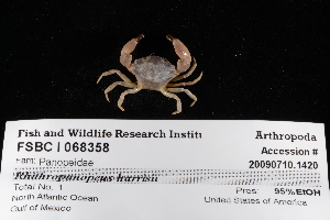  ( - FSBCI69358)  @11 [ ] CreativeCommons - Attribution Non-Commercial Share-Alike (2017) Unspecified Fish and Wildlife Research Institute