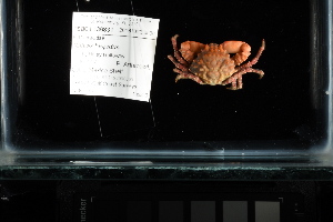  ( - FWRI I 00877)  @11 [ ] CreativeCommons - Attribution Non-Commercial Share-Alike (2019) Unspecified Fish and Wildlife Research Institute