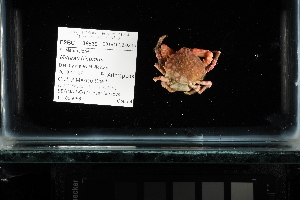  ( - FWRI I 00880)  @11 [ ] CreativeCommons - Attribution Non-Commercial Share-Alike (2019) Unspecified Fish and Wildlife Research Institute
