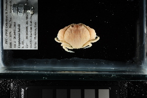  ( - FWRI I 00893)  @11 [ ] CreativeCommons - Attribution Non-Commercial Share-Alike (2019) Unspecified Fish and Wildlife Research Institute