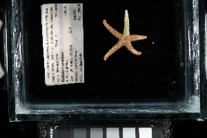  ( - 136394-997)  @11 [ ] Unspecified (default): All Rights Reserved  Unspecified Fish and Wildlife Research Institute